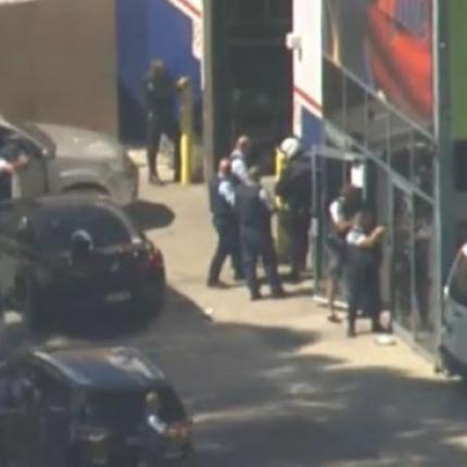 ομηρια συδενυ