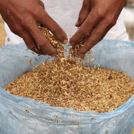 Ο πλανήτης έχει ανάγκη από τροφή