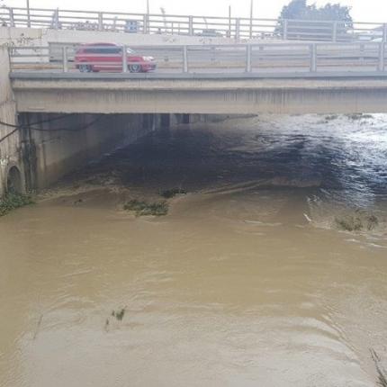 Δρακουλιάρης, Γιόφυρος, Ξηροπόταμος "στο μικροσκόπιο" του οργάνου
