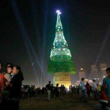 σρι λανκα δεντρο