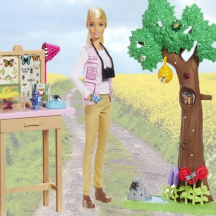 μπάρμπι εντομολόγος