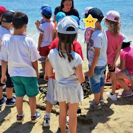 καθαρισμός - Αγία Πελαγία