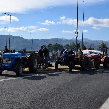 agrotes3_856_570_76.jpg