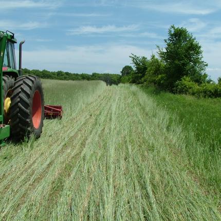 αγρότες παραγωγη