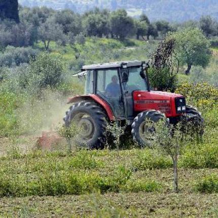 Γενική συνέλευση στον Αγροτικό Σύλλογο Καλυβιών
