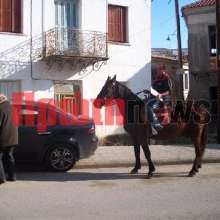 Απρόσμενος "σύμμαχος" στο λιομάζωμα: Ένα  άλογο κοσκινιζει τις ελιές (βίντεο)