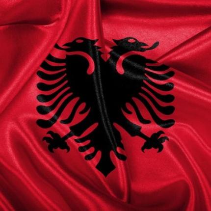 Μειώθηκαν τα εμβάσματα από τους Αλβανούς μετανάστες