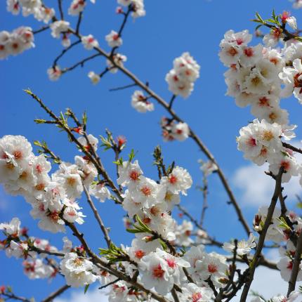 Η νίκη του ΣΥΡΙΖΑ, η διαπραγμάτευση, η αισιοδοξία και οι αλλαγές στα κόμματα