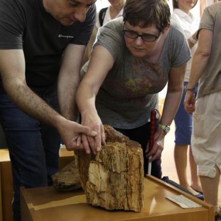 Μυτιλήνη: Γερμανοί με προβλήματα όρασης γνωρίζουν τα α​πολιθωμένα φυτά