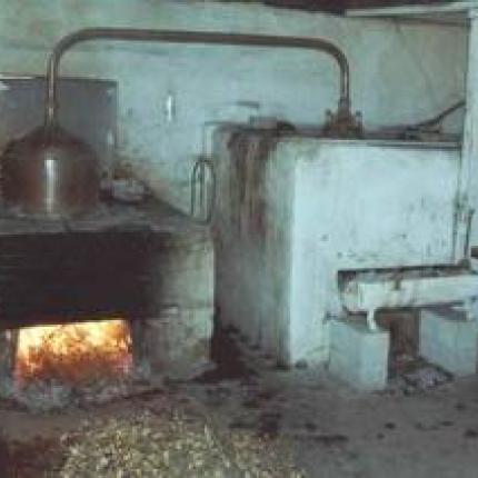 Απόσταξη τσικουδιάς μόνο από αμπέλια με δικαιώματα φύτευσης