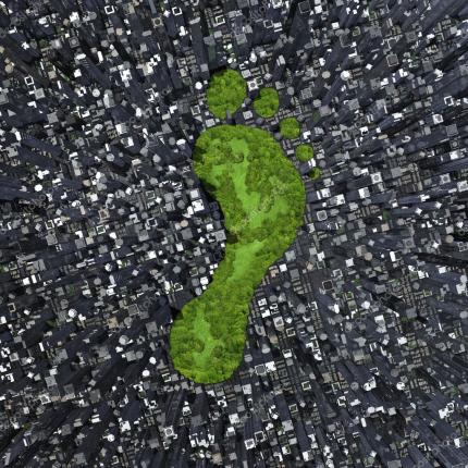 αποτυπωμα ανθρακα