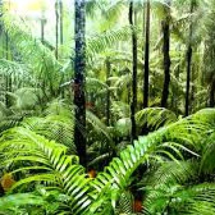 Κοιμηθήκαμε με Ρούσσο, ξυπνήσαμε με Σπύρο!