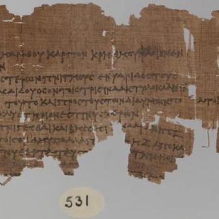 "Μίλησαν" πάπυροι από την εποχή του Βεζούβιου