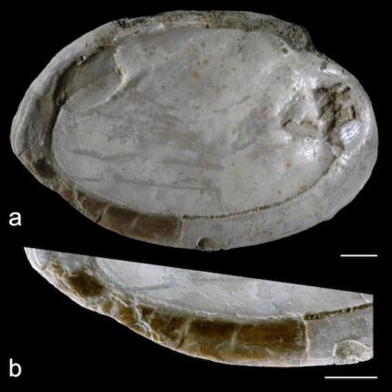 Το αρχαιότερο έργο αφηρημένης τέχνης