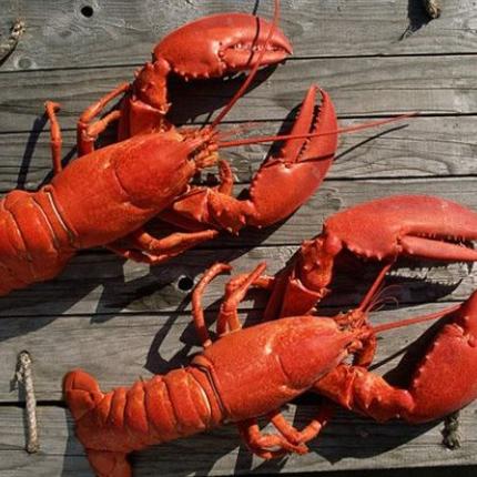 "Αυτοί αστακουδάκια κι εμείς ... μαριδούλα"