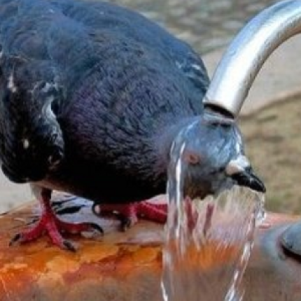 Ήταν ο πιο ζεστός Αύγουστος από το 1881!