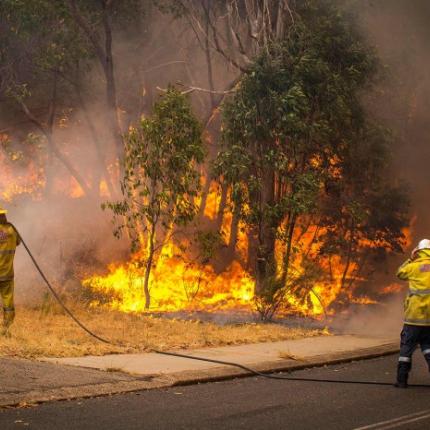 Φονική πυρκαγιά στη Χιλή με 8 νεκρούς και δεκάδες τραυματίες