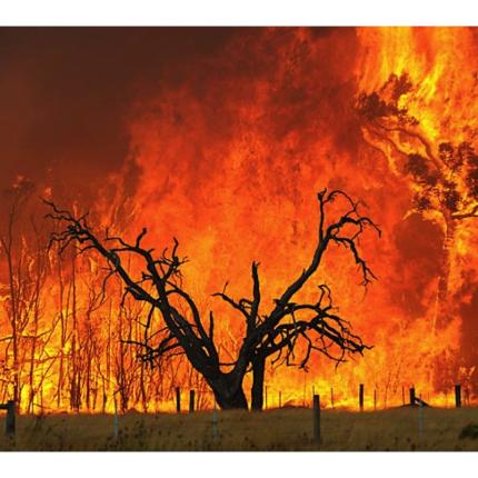 Αυστραλία: Μάχη με τον χρόνο δίνουν οι πυροσβέστες