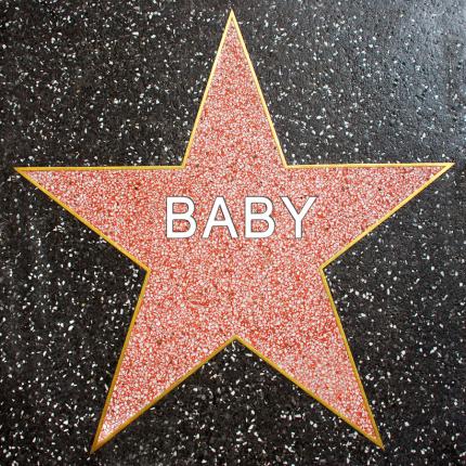 Ο πελαργός επισκέφτηκε το Χόλιγουντ - Τα μωρά του 2014