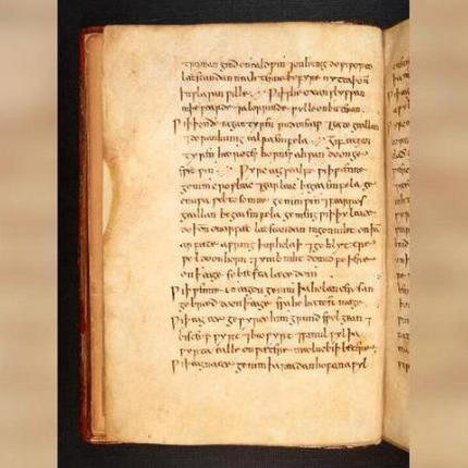 Επιστήμονες βρήκαν συνταγή για πιθανό αντιβιοτικό σε... μεσαιωνικό βιβλίο 1.000 ετών