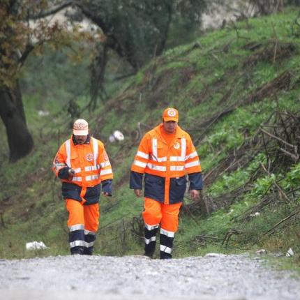 Ολλανδός εξαφάνιση