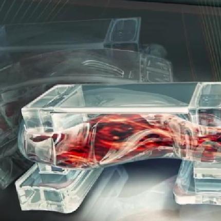 Ρομπότ κινούνται με την βοήθεια μυϊκών κυττάρων (βίντεο)