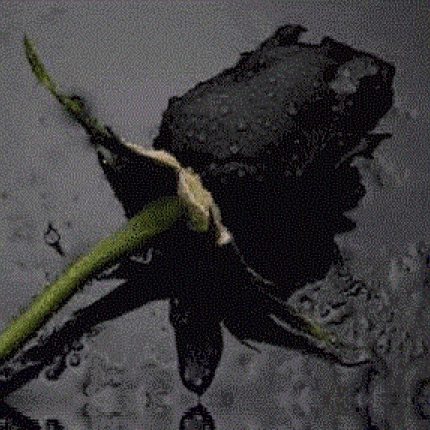 Η κηδεία έγινε αλλά... το ΠΑΣΟΚ δεν ήταν εκεί!