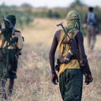 Ελεύθεροι 190 όμηροι της Μπόκο Χαράμ