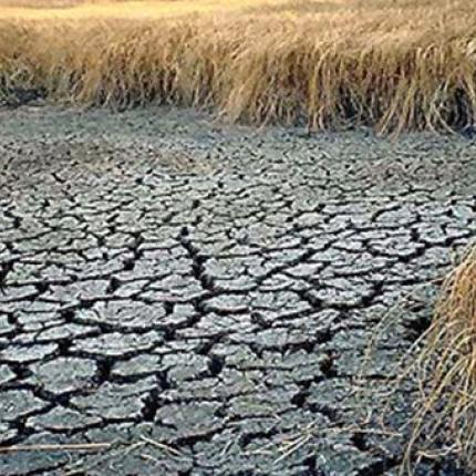 Πυρκαγιά Καλιφόρνια