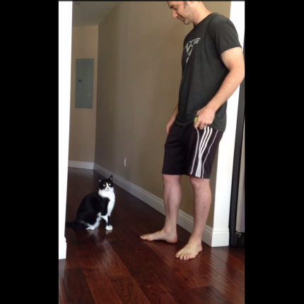 Η καλύτερη γατίσια αγκαλιά! (βίντεο)