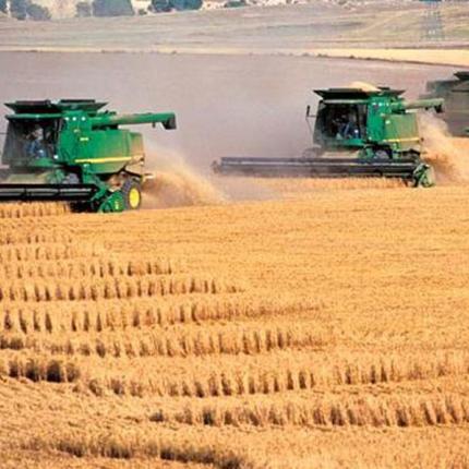 Δασμούς στις εξαγωγές δημητριακών επιβάλλει η Μόσχα