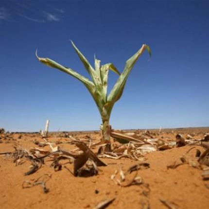 climate-600-x-406.jpg