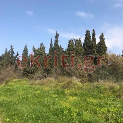 Οικόπεδο Αγίου Ιωάννη