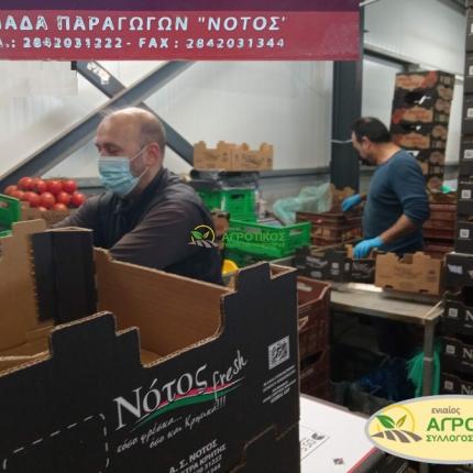 Πυρετός εργασίας