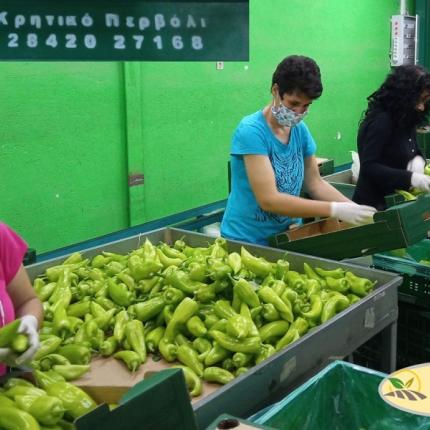 Συσκευαστήριο στην Ιεράπετρα