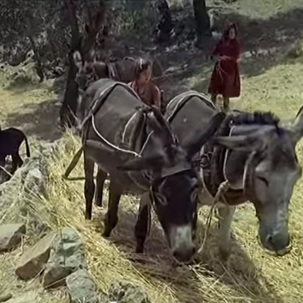 Ένα σπάνιο βίντεο από την "τουριστική" Κρήτη του 1964!