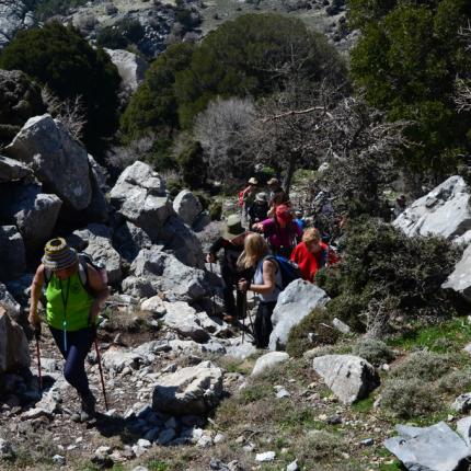 πεζοπορια συλλογος