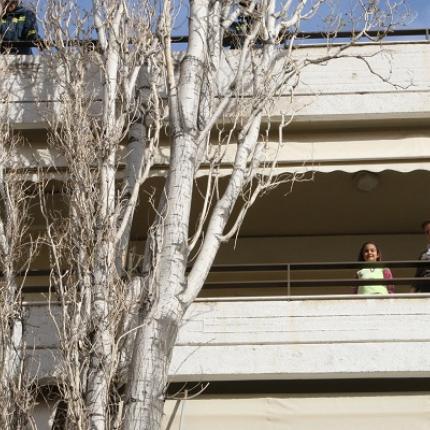 Ηράκλειο: Αναστάτωση από δέντρο 30 μέτρων που ... πλάγιασε σε πολυκατοικία! (φωτορεπορτάζ)