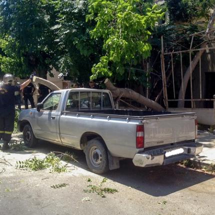 Δεντρο - αυτοκινητο