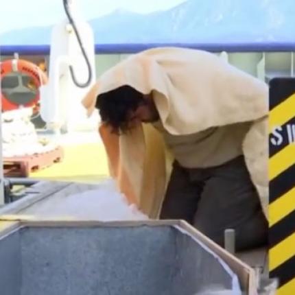 διακινητής