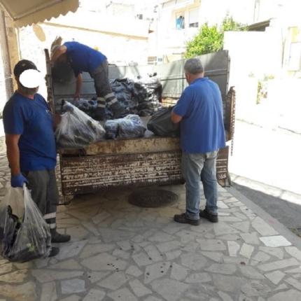 οπωρηκεπευτικα