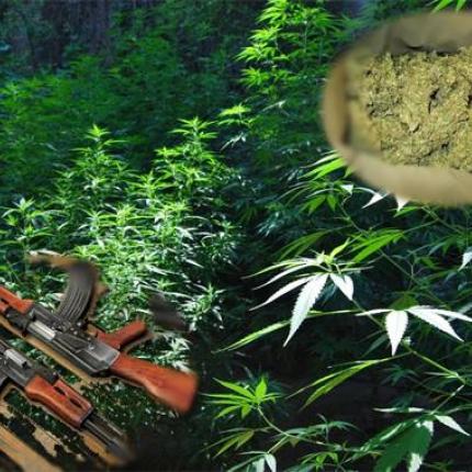 Εν αναμονή της πρότασης της Εισαγγελέως για τη μαφία με τα ναρκωτικά και τα όπλα
