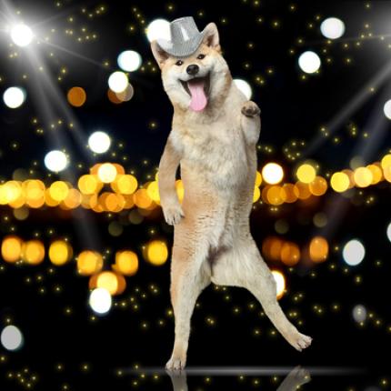 Μπορούν τα σκυλιά να χορέψουν; (βίντεο) 