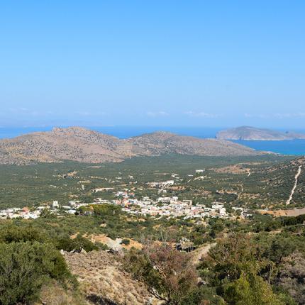 αστυνομικοι