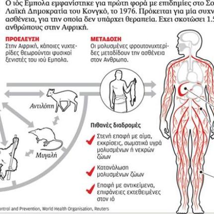 "Πολύ χαμηλός" ο κίνδυνος από τον ιό Έμπολα στην Ελλάδα