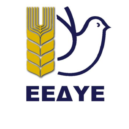 Εκλογές στην Επιτροπή Ειρήνης Ηρακλείου