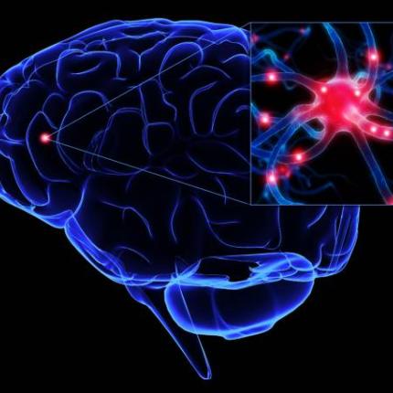 Ανακάλυψη ίσως συμβάλλει στην αποτελεσματική θεραπεία εγκεφαλικών