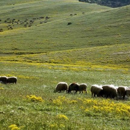 Μετά τις αντιδράσεις, πιστώνονται  πρόσθετα ποσά για την εξισωτική 
