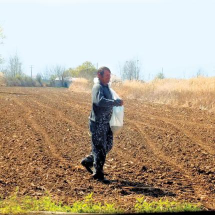 "Δεν καταδέχονται να δουλέψουν στα χωράφια οι Έλληνες"