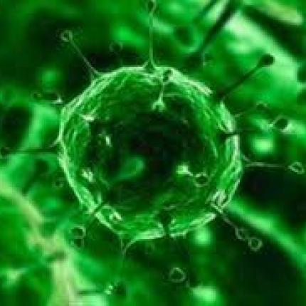 Νέα σύσκεψη για τον ιό Έμπολα στο υπουργείο Υγείας